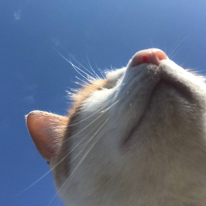 1c1b4501 3e31 4398 b790 1b813b4f2530