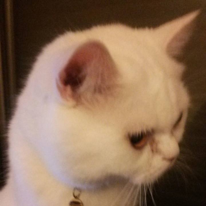 1c1b5e73 eda1 4b8d 9d98 ebd0d3ddd094