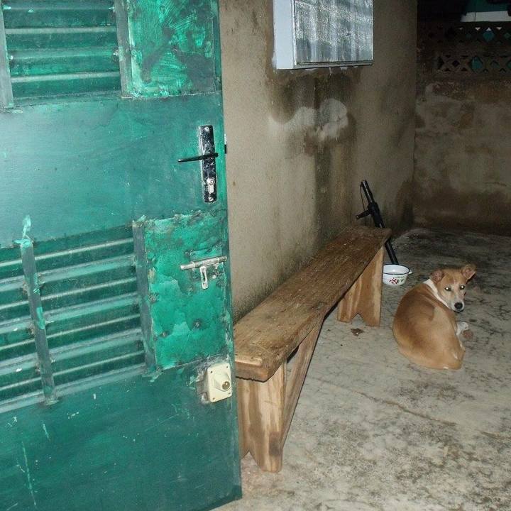 1c1bdfe7 a755 47b9 9192 2b88729b17bd