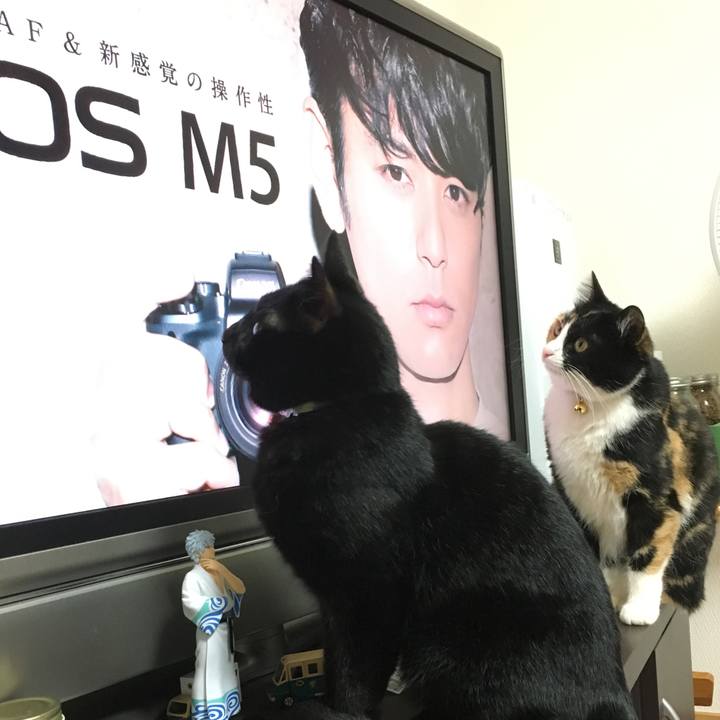 1c1bf5c3 a080 4fa2 956c f14aacf90e5c