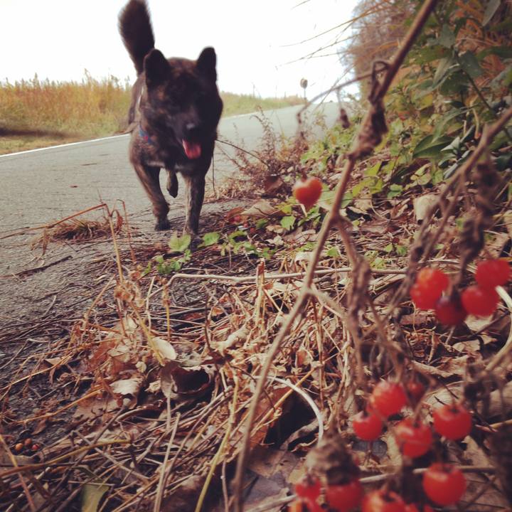 1c1c5448 f4e6 4bf7 b46e c38c57019f19