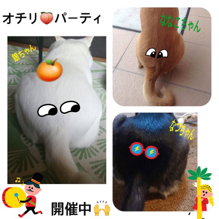 1c1dc6eb c773 4dc1 a892 e15321e0ecfd