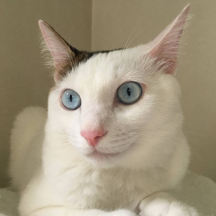 1c1e64e7 fded 4d7b 91cb 41127a94ebff