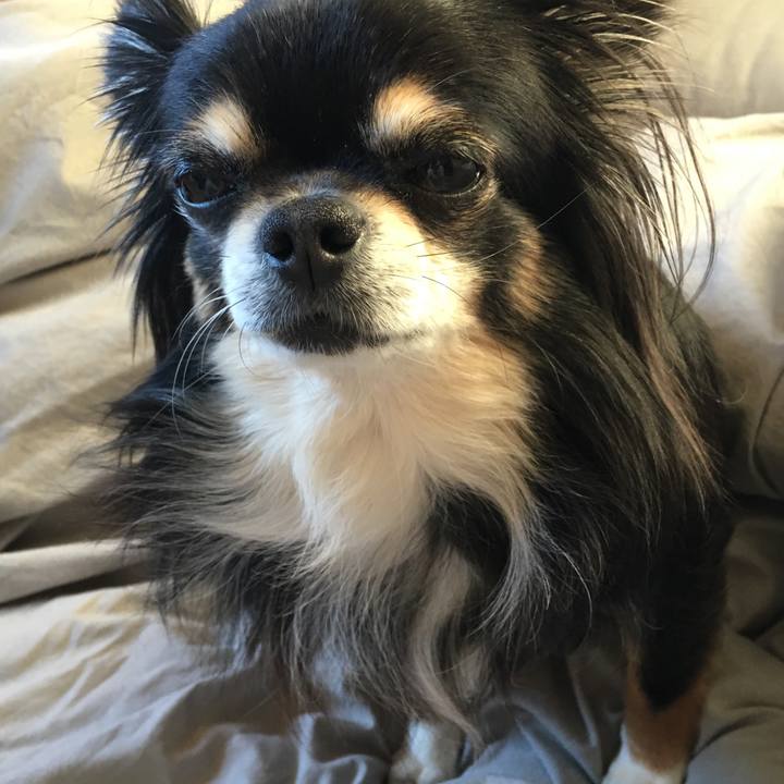 1c1ee206 edc5 46a9 8566 3c90543cd5a1