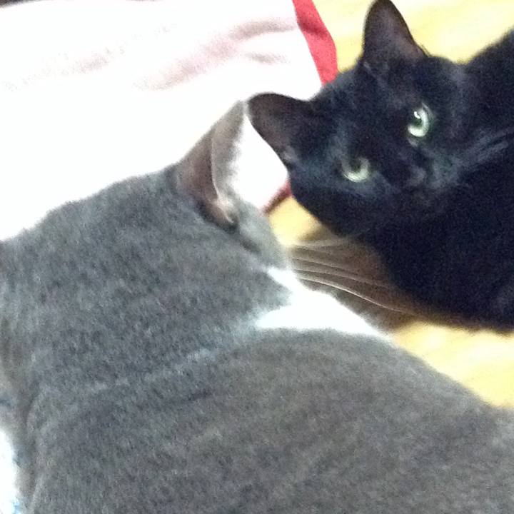 1c1f374b 5acd 43de a495 162595b7aa61