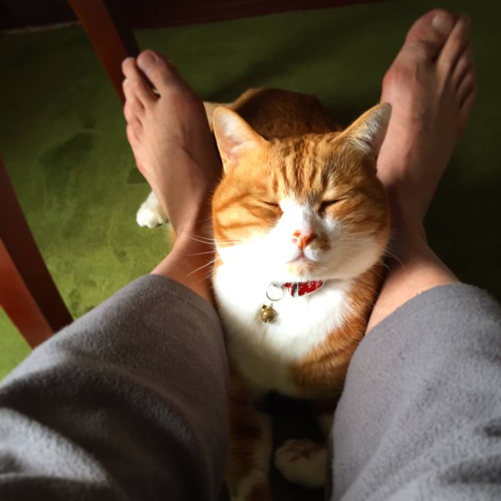 1c1f51a8 dbc9 482d 95d7 c003e983cfdc