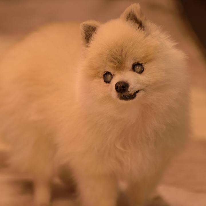 1c1f7e90 a036 4c1d bba5 98ce92235c60