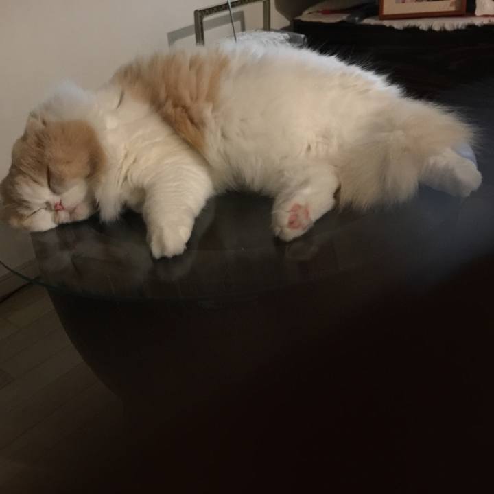 1c1f8333 5f93 488b affd a6e09f6dca8a