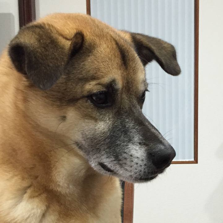 1c1fe735 467a 46fd b77e 48440f147f7a