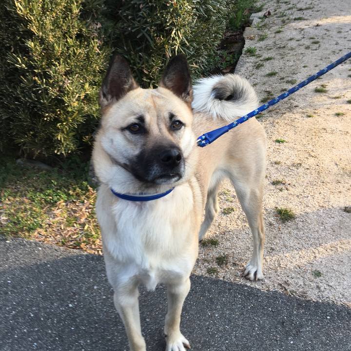 1c201f44 6554 4b51 9c06 e2e8c8acfb28