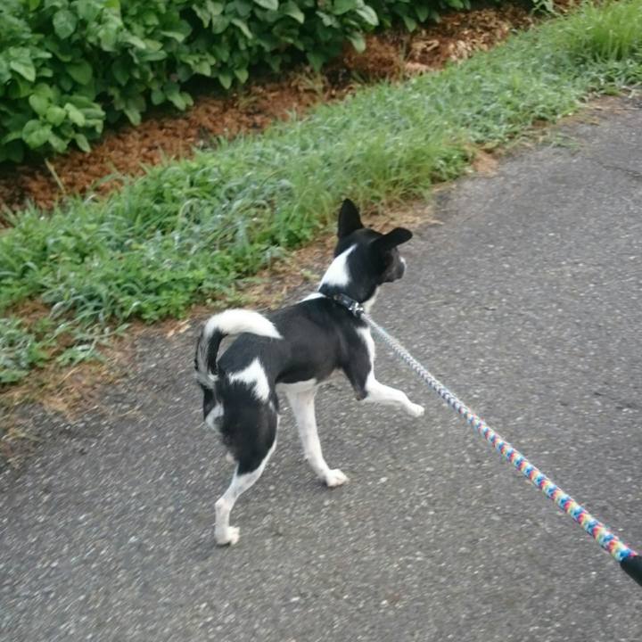 1c2037fe 672e 48d8 905c d0622edf96a0