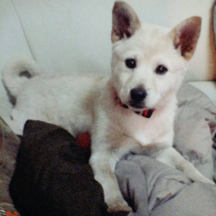 1c20643c f1dc 471f 8317 e26ce980a70d