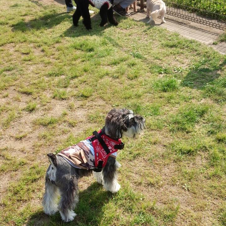 1c20c322 8a0a 4cca 8cdb 93e7f135d02b