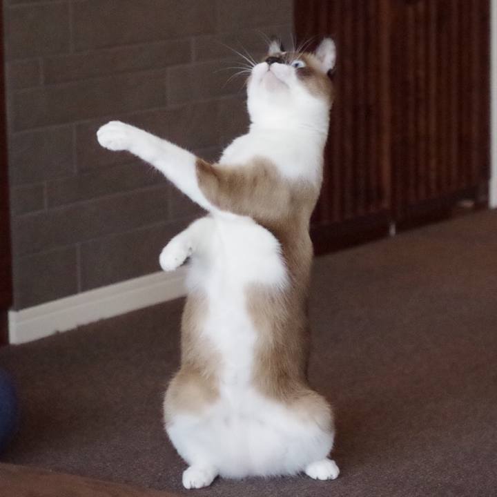 1c20e155 0da0 42dc 9684 429bd3f95b1c