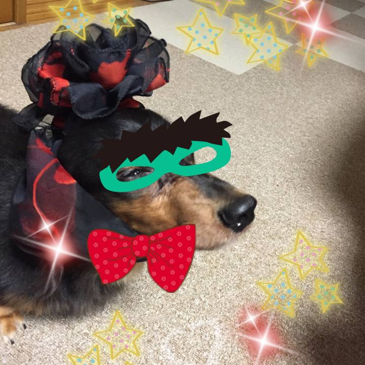 1c211405 bc6a 459b 94a6 479035d8f12c