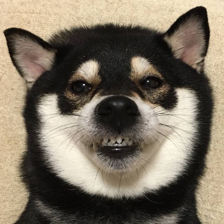 1c22126d aa3e 4e51 9b26 30dac33a1ac4