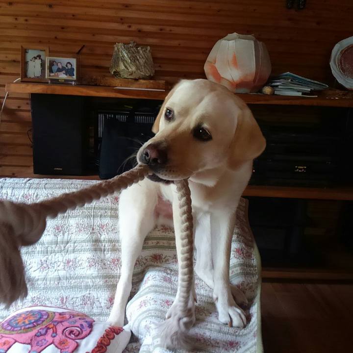 1c2273e8 8465 4fc2 8f5b b51b10b31252