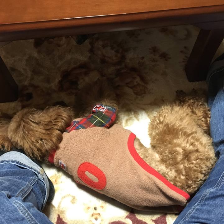 1c228dad 6e86 4095 aaf1 7359112137ad