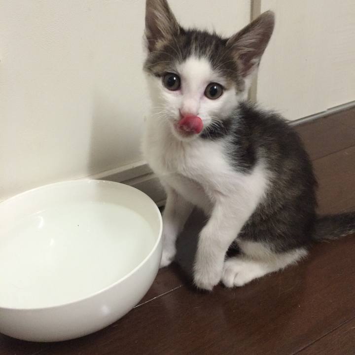 1c22d131 e97b 47ab 8ce8 cd10f09a8469