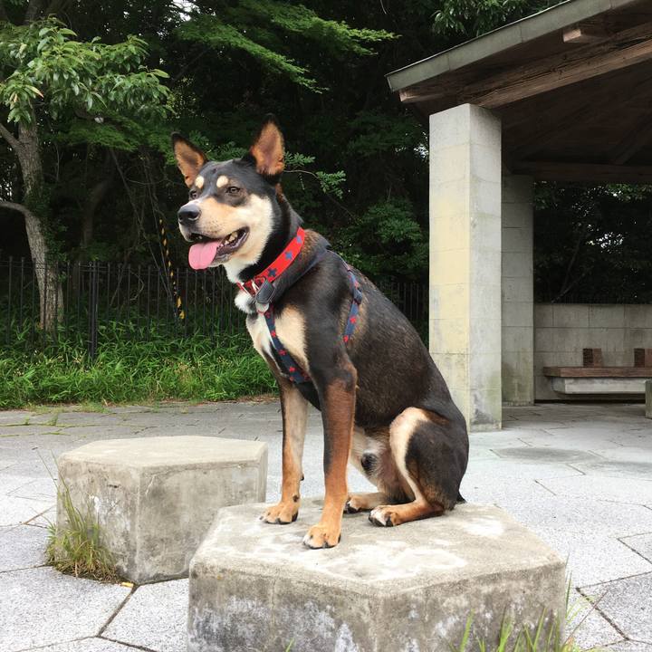 1c22d300 f259 495a 8a26 64fa94140a08