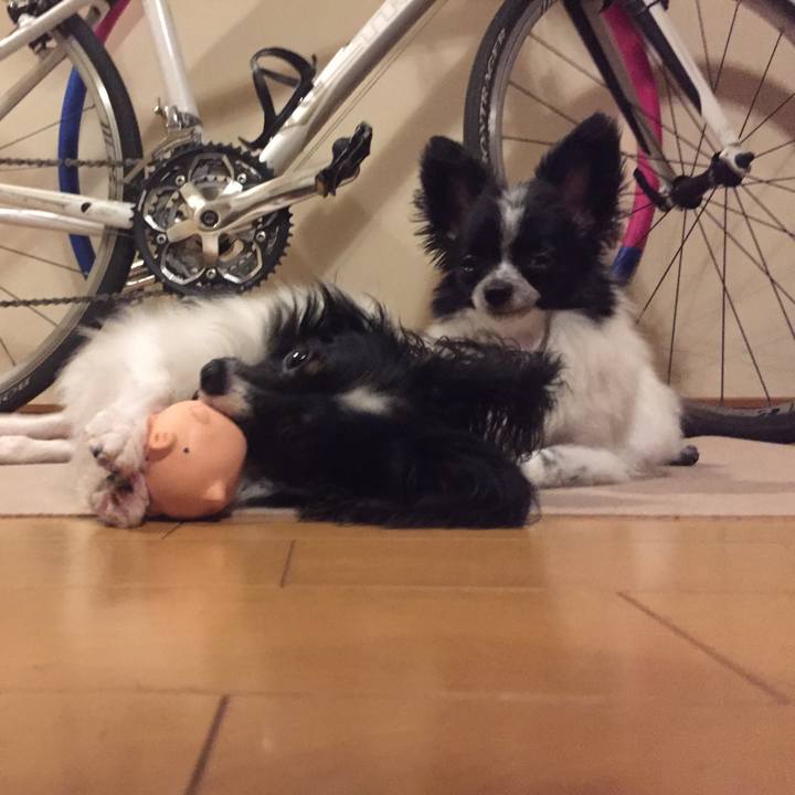 1c22fb40 2aff 40c0 b21c fb22cf68e2dc