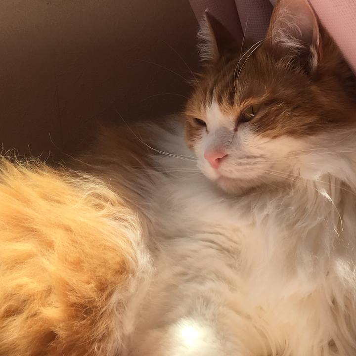 1c232d78 0cd0 4b9b 833a e097aa78b667