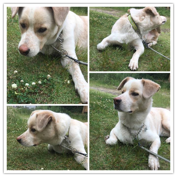 1c238d05 6a33 451c a97b 80f5d5391f12