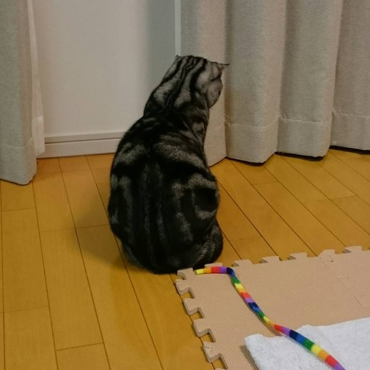 1c244174 5bed 4fe0 88be b461f21d1555