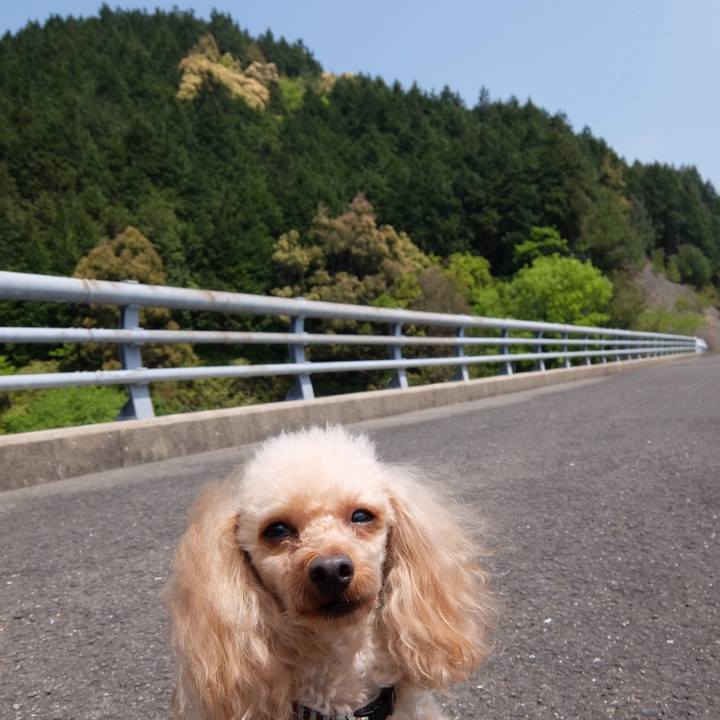 1c24da6e 8965 4dbb 9872 6b0beb18057f