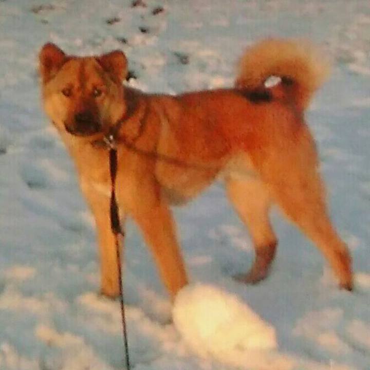 1c24f8b5 850c 457e b36f 52eec059b47d