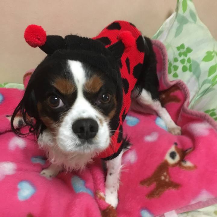 1c25089e 5956 4ff3 99e1 d2b1dc21741e