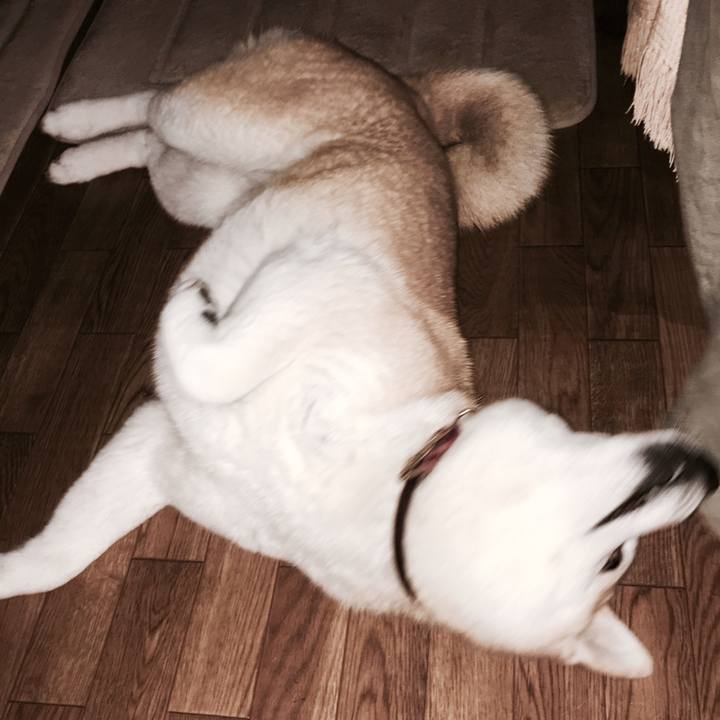 1c252e07 d397 4a53 8d1b 8593c0a670fb