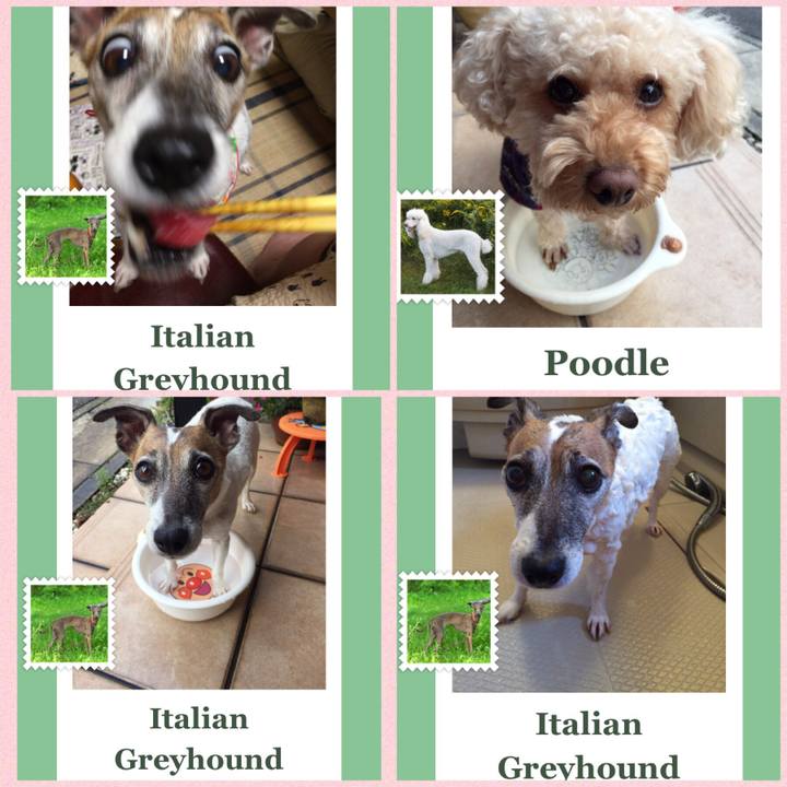 1c255d7b 6415 47ee b5c4 4fd2ed0380d7