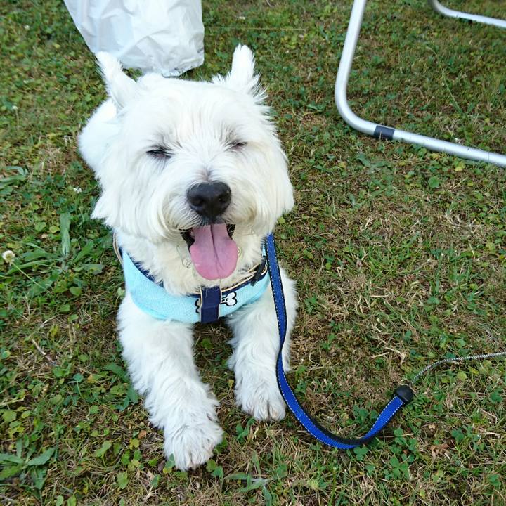 1c256af2 4c44 4c80 bdc7 94fd4dcb94af