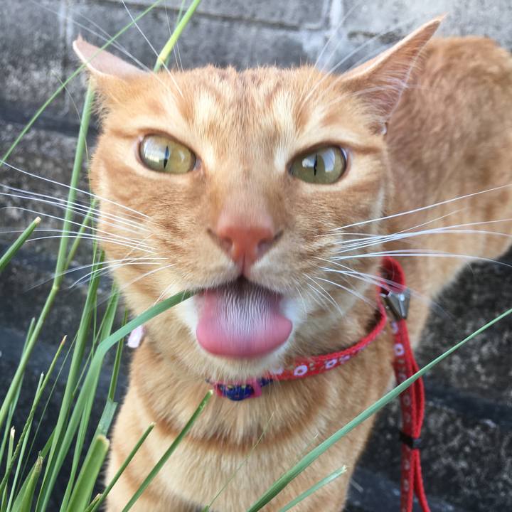 1c260310 77ab 465d 8d40 fa9e659f38c9