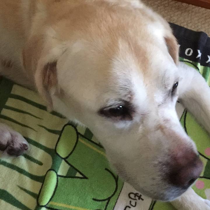 1c26072e 6393 47ff 8781 3530d3229790