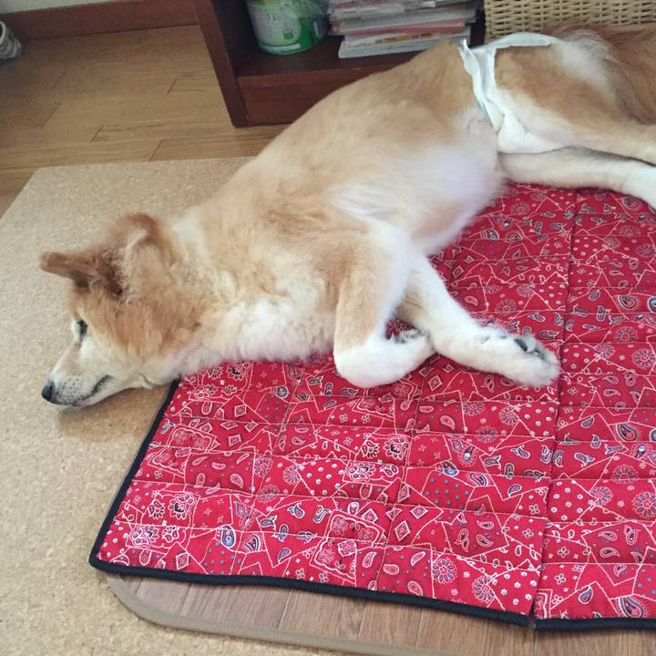 1c273b4f 3766 4d7b bc57 1b11babb127a