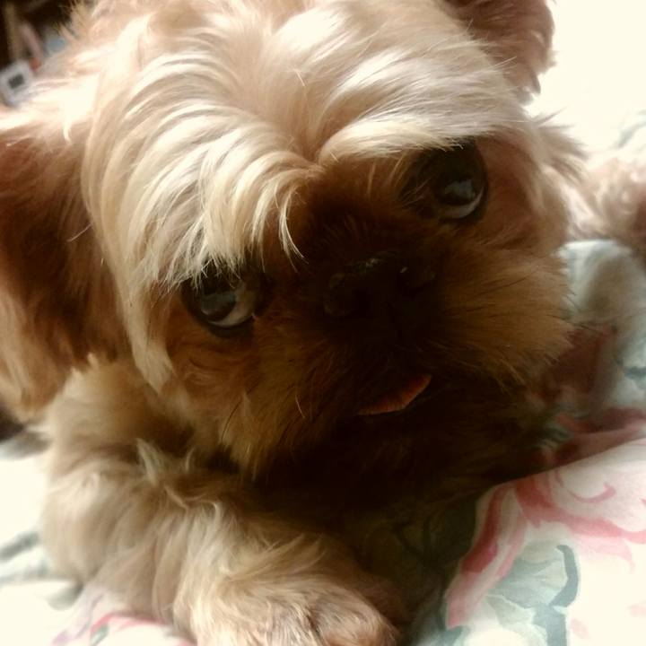 1c27dc01 b9f8 4d98 8695 4fcf9bbc8dd5