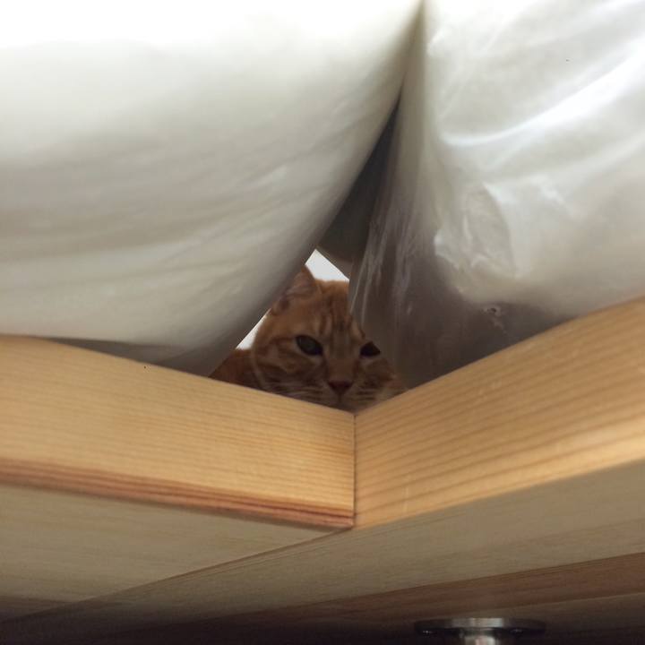 1c280058 3d93 4f0e bdc8 5eba06a056f8