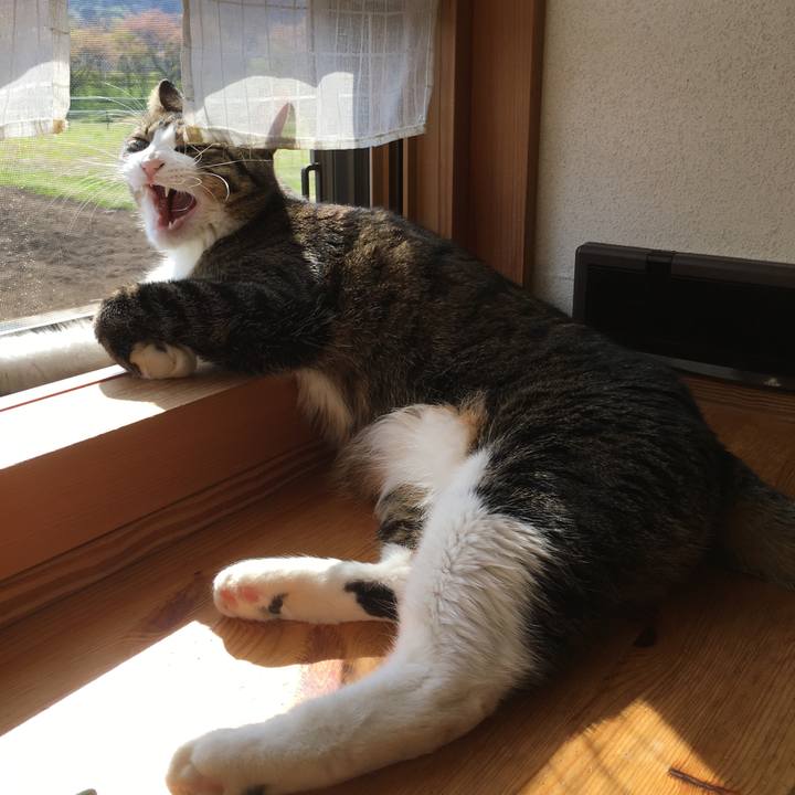 1c2830b0 32cf 48c1 9c7b 6ad10ed6fca7