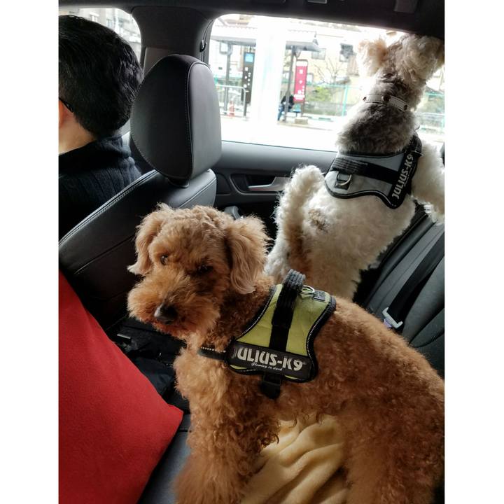 1c288b4d 8fd4 41e3 99dc ce831f8eb892