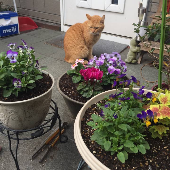 1c292b71 4700 47da ac88 566cc8db153a