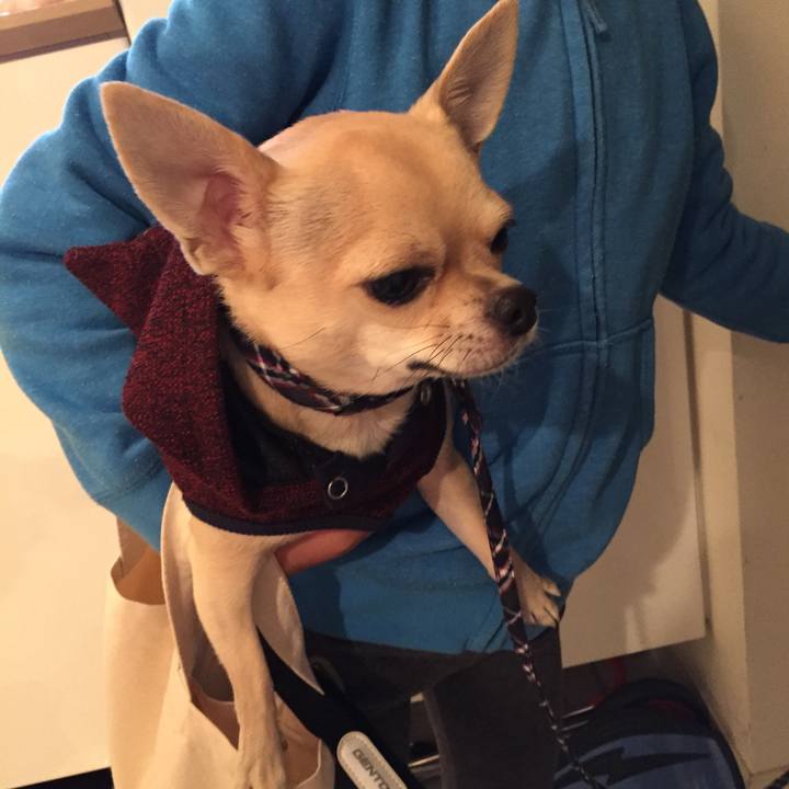 1c29529e 507d 4a18 bd15 062ad04be7ad