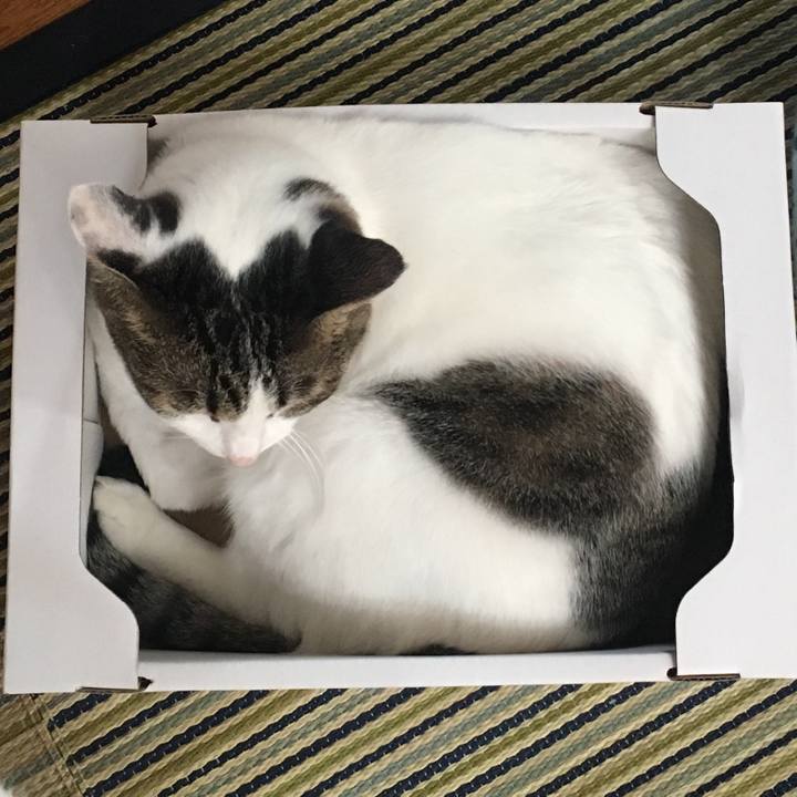 1c299007 5278 499b 8c5c 8e24e958b281