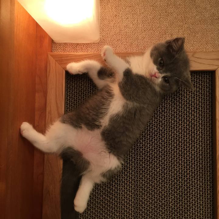 1c29b7c5 f2a5 4b4b 87c6 4a003dd28b41