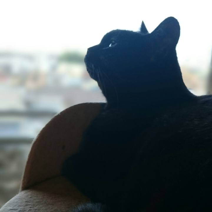 1c2a25b7 f1dd 4b6c b192 a2c7959303a5