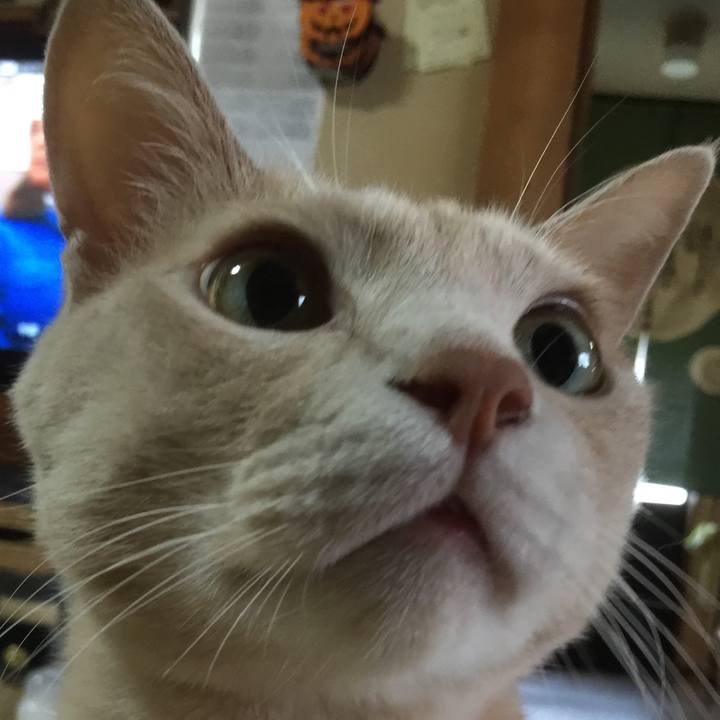 1c2a3356 f235 4cc3 be32 9aaf02a64fb2