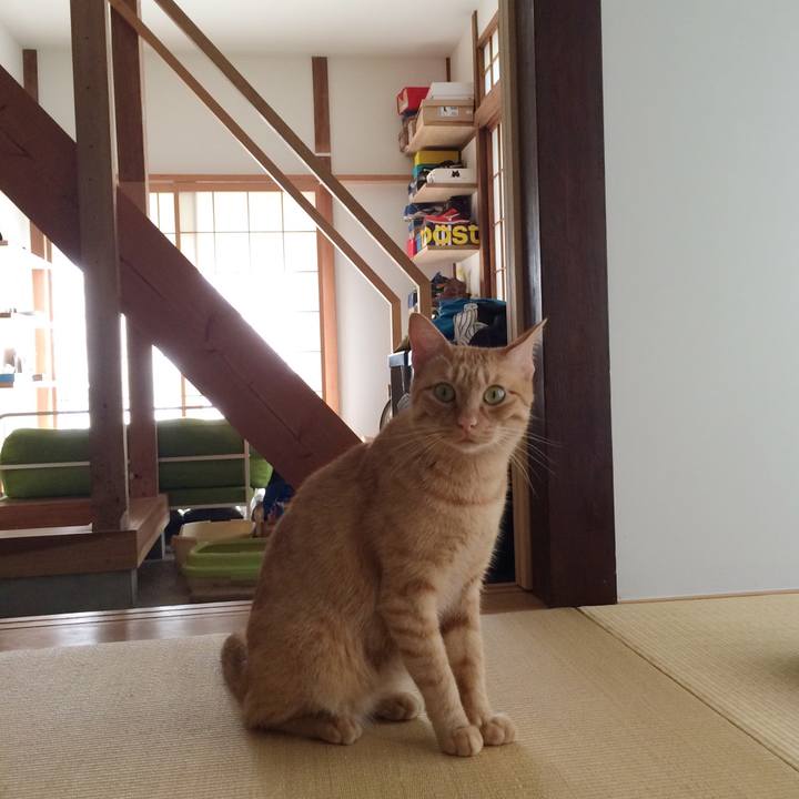 1c2c4470 d517 46b6 a8d2 0f73426eee0a