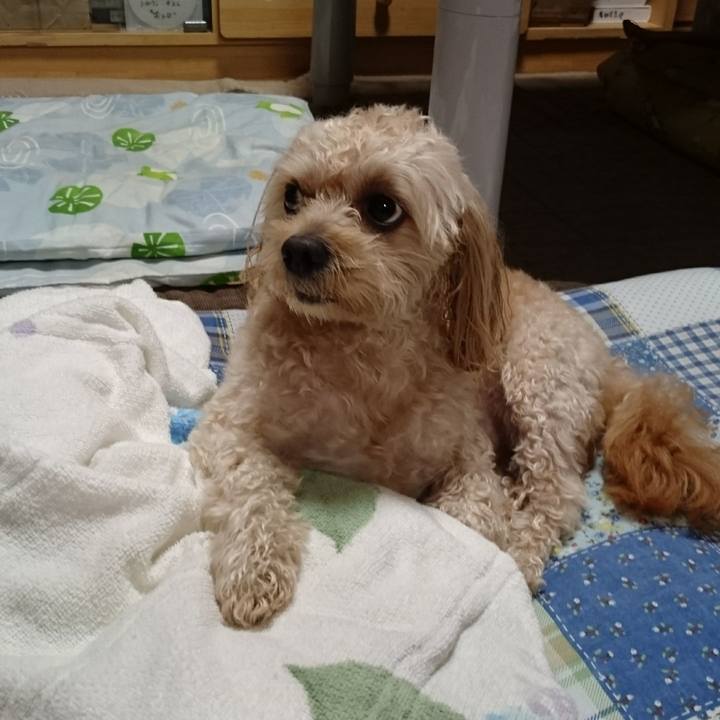 1c2d2536 7704 4b86 9c2d ffa2e4ccd7e3