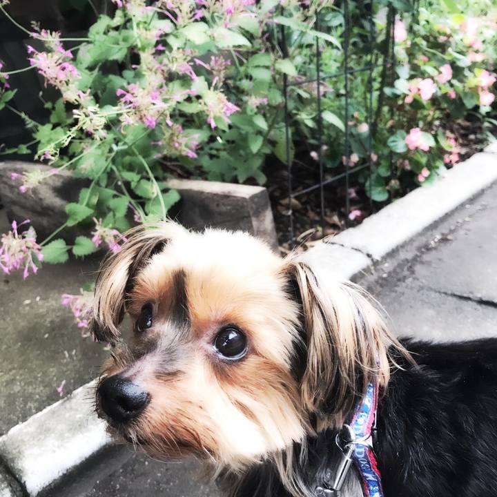 1c2d2705 6727 48d0 a4a4 94780ffe7f2a